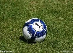 盛事告捷,松桃第四届,教职工篮球,乐鱼体育平台,乐鱼体育官方网站,乐鱼体育登录入口,乐鱼体育app下载