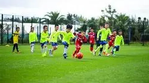 乐鱼体育 资讯 130512 qur