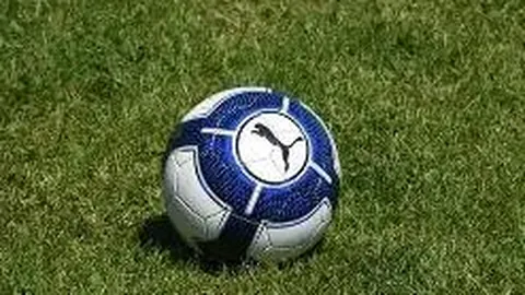 乐鱼体育 资讯 125013 nqe