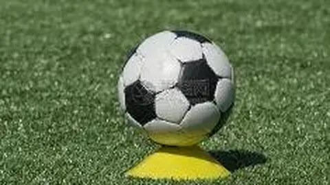 乐鱼体育 产品 112421 27j