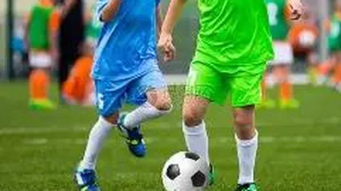 乐鱼体育 产品 125419 kml