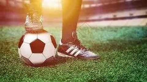 乐鱼体育 产品 125403 msn