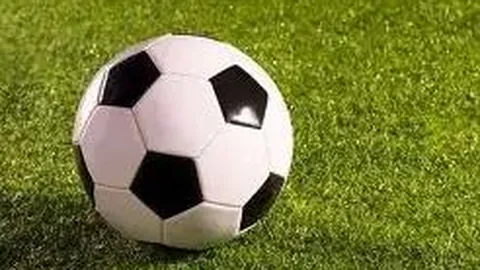 乐鱼体育 产品 102203 gkk